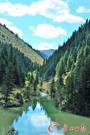 ��������������̾