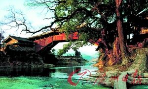 �ۺھ�����̩˳����