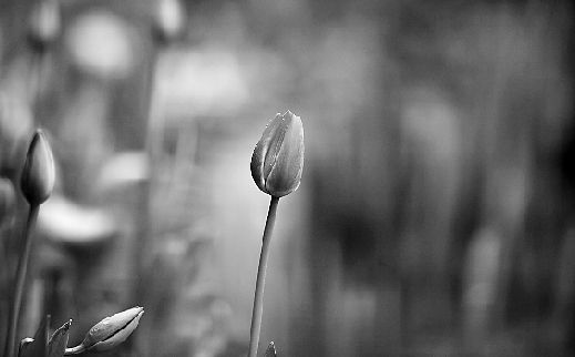 ̫���������㿪��