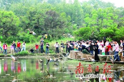 ���°��������������