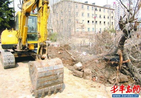 һ��������10�÷�ͩ�ǹ�һ�������ھ������