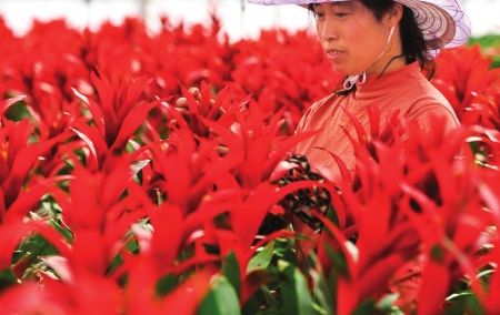 ��ɽ����������