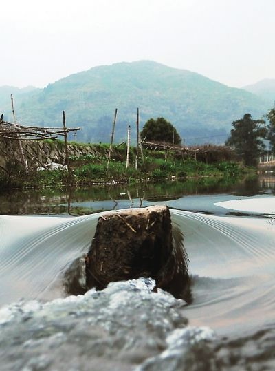 清明还没到村民提早上山扫墓
