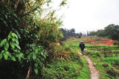 清明还没到村民提早上山扫墓