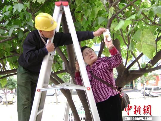 ����Ӧ�á�����������������ؼ��������̻�������