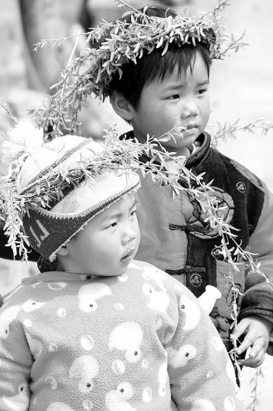 �������������