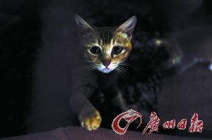 ��è�����ضȾ�ϵ��O����