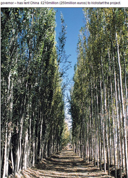 Ӣ���ڲ��������Ի��ṩ��ҵ����ƻ���Ӣ������