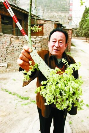 ���������������ơ�