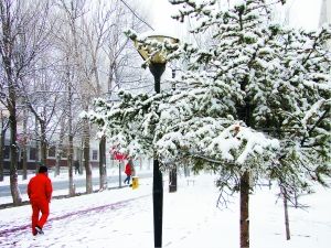 ������⳾����էů����������