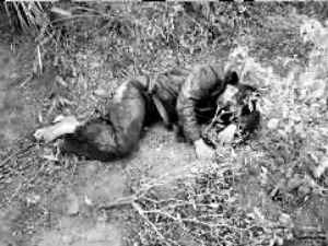 ��ѧ��ʦ��ҽ���ӽ�������