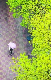 ����ɽˮ�س��Ŵ�����