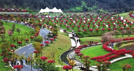 �������˼䡱�ž����ʢ����