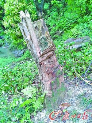 ���������㻹���˰�������