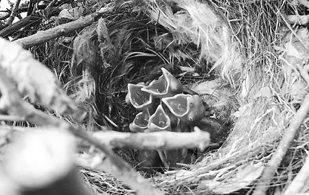 �ԣ����£�