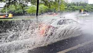 ��������11����ͬ����ǿ