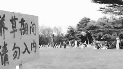 ����С�ݱ�̤����ˮ������