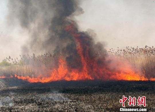 新疆五家渠千亩水库湿地着火 大火近3小时扑灭