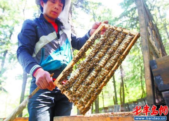 ��������ʢ���ڰ����������ྭӪ"������ҵ"