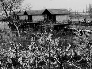 ˭���㽭������̬����