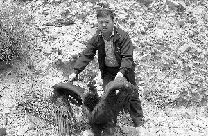 ͺ�����������ѡ��ֳ�������Ա�������