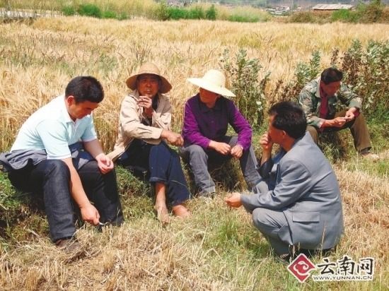 沿着杨善洲的足迹