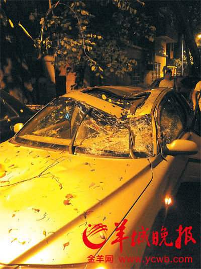 �����籩���������һ·����С����ù