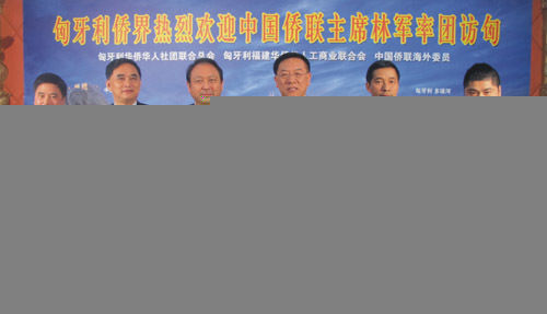 中国侨联主席林军赴匈牙利访问与侨界座谈