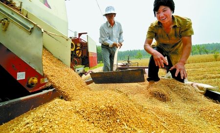 连日来,胡村乡群众抓住天气晴好的有利时机抢收小麦⑤3高林王留聚摄