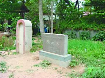 扁鹊墓边辟菜地,谁来管管