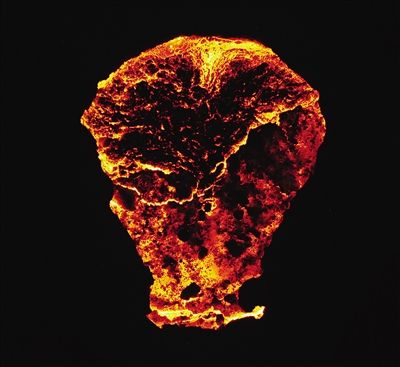 百城销枪十万支