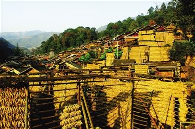 ���㹲����ũҵ�Ļ��Ų���ǩ(2)