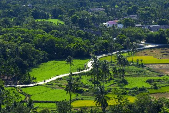 南海网征集15名免费体验定安生态与美食微博网友