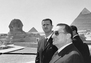 ִ��31�������ǿ�˵�������