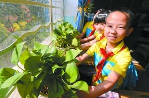 �ǹ�����������ϱ������������Ի�Ϊý�����������������ʻ�����