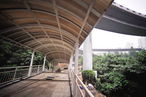 �Ĺ��ﻻ����Ŧ26��Ͷ��