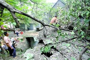 ���������Ҵ��ݶ���������ҹ�뾪��