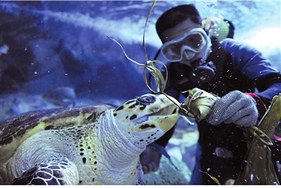 ����׷��