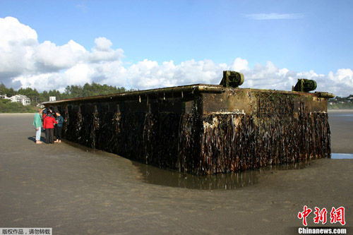 �ձ���Х����Ư������С���ֽ���Ž������