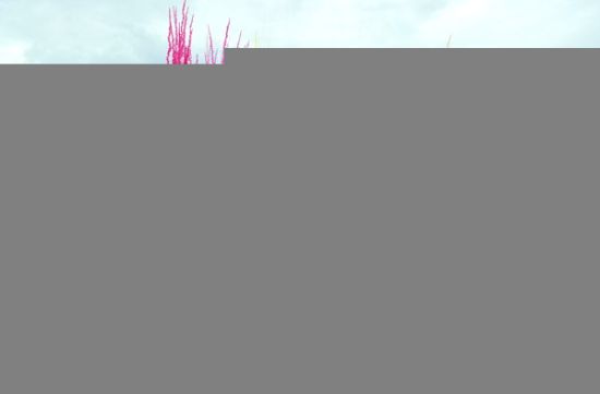 �����ٰ������ʳ�Ļ��ڽ����趨����¥С�Խ�