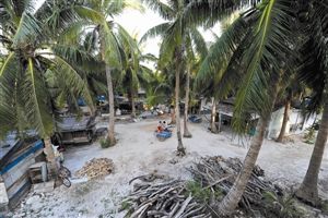 ��һ����ǿ���������Ϳ�������