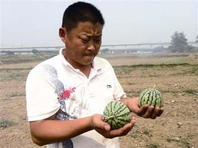 ��������͡��������ꡱ