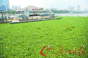 �ǹܴ�սˮ����