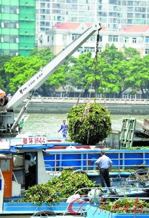 �ǹܴ�սˮ����