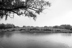 ���깫԰�����¾����߿�����������