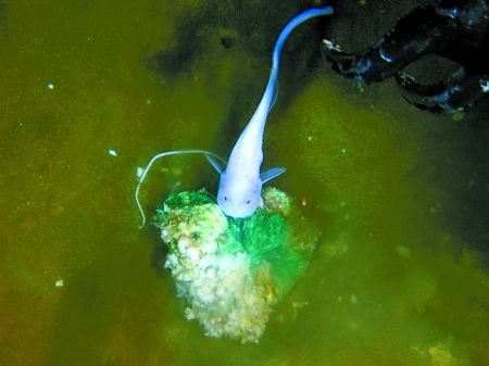 ��������Ǳ��7062�״���Ǳ�¼�¼