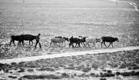 航天员今进行首次手控撤离