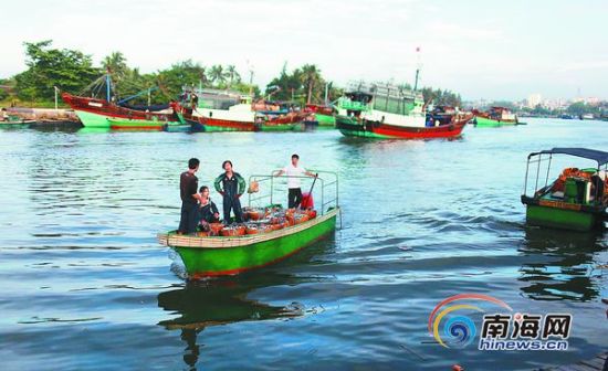 琼海渔民南沙打渔20年:见到国家巡逻船像见亲人