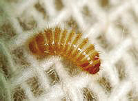 8�겻�Ի��ܻ���еġ��������ܡ��Ͼ�����