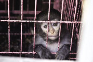 ����������С⨺�